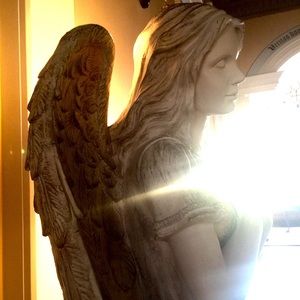 Meet your Posher, Robin